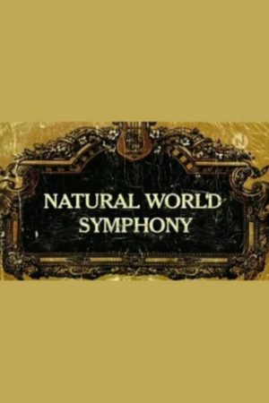 Symphony (2005) poster
