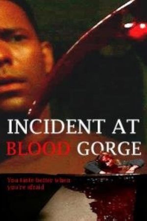 Incident at Blood Gorge (2005) poster